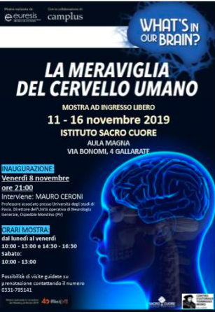 Featured image for “What’s in our brain?#meeting19 a Gallarate 8-16 novembre”