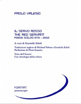 Featured image for “La poesia di Paolo Valesio”