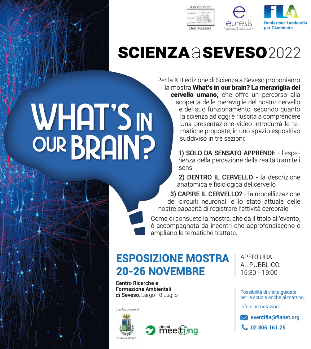 Featured image for “Seveso: What’s in our brain?”