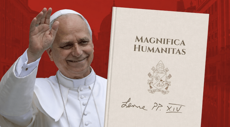 Featured image for “Magnifica humanitas: la vita donata per un compito”